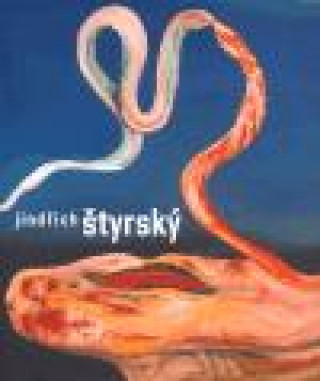 Книга Jindřich Štyrský (průvodce výstavou) 