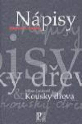 Könyv Nápisy - Kousky dřeva Miroslav Červenka