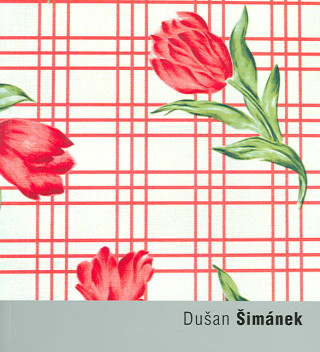 Book DUŠAN ŠIMÁNEK/22 Anna Fárová