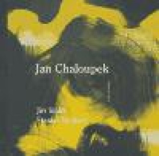 Kniha Jan Chaloupek Jiří Siblík