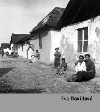 Книга Eva Davidova 