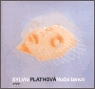 Kniha Noční tance Sylvia Plathová