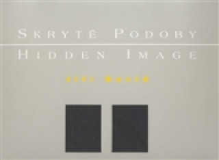 Книга Skryté podoby/ Hidden Image Jiří David