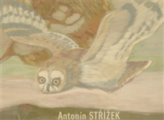 Kniha Antonín Střížek Martin Dostál