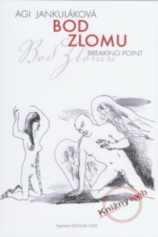 Boek Bod zlomu - Breaking point Agi Jankuláková