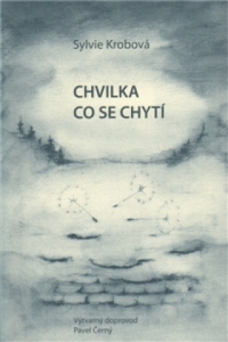 Книга Chvilka co se chytí Sylvie Krobová