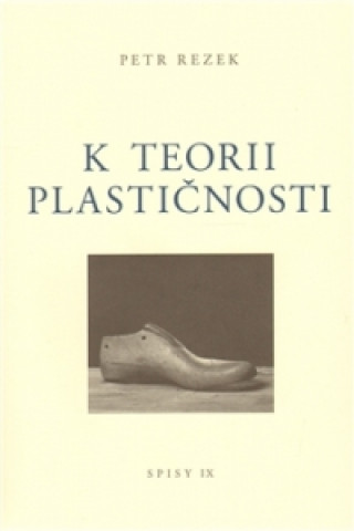 Könyv K teorii plastičnosti Petr Rezek
