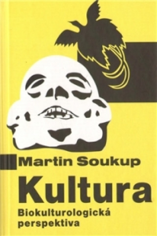 Kniha Kultura Martin Soukup