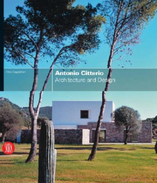 Kniha Antonio Citterio Alba Cappellieri