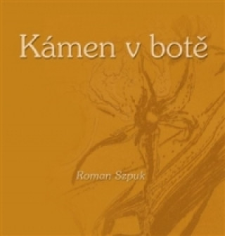 Kniha Kámen v botě Roman Szpuk