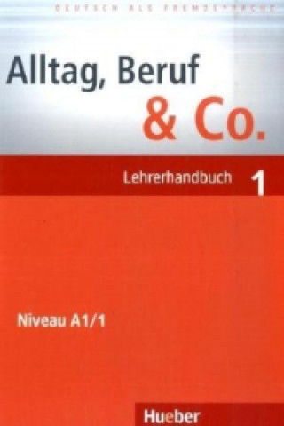 Kniha Lehrerhandbuch Dr. Jörg Braunert