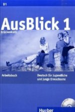 Kniha AusBlick 1 Brückenkurs Anni Fischer-Mitziviris