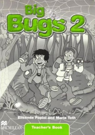 Materiale tipărite Big Bugs 2 Storycards International Elisenda Papiol