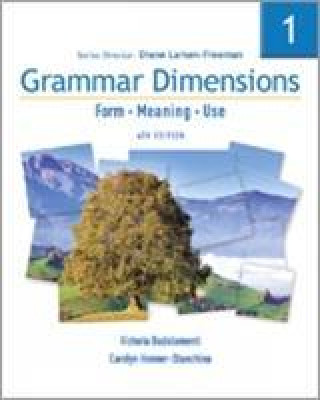 Carte Grammar Dimensions 1: Workbook Victoria Badalamenti