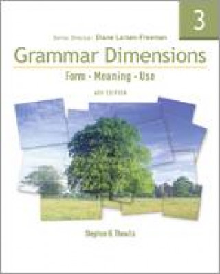 Kniha Grammar Dimensions 3: Workbook Victoria Badalamenti