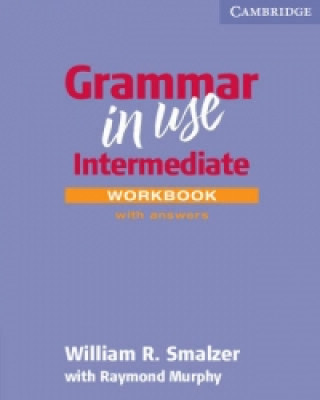 Kniha Grammar in Use Workbook with Answers William R. Smalzer