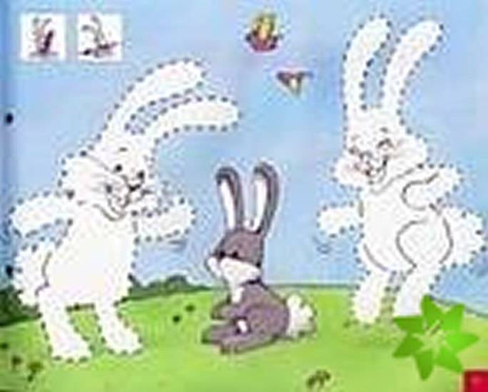 Tlačovina Hello Robby Rabbit  1 Flashcards Carol Read