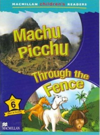 Könyv Machu Pichu & Through the Fence - Macmillan Childrens Readers Murray Pile