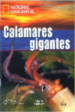 Książka NG - Andar.es: Calamares gigantes + DVD 