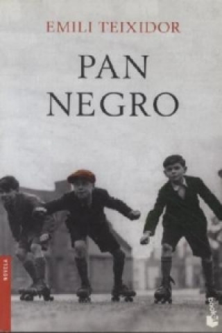 Könyv PAN NEGRO E. Teixidor