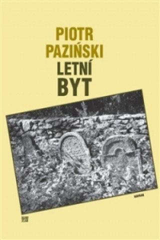 Kniha Letní byt Piotr Paziński