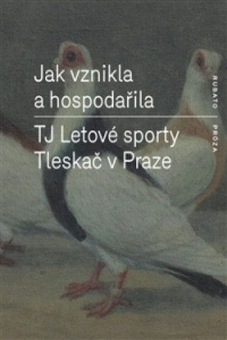 Книга Jak vznikla a hospodařila TJ Letové sporty Tleskač v Praze 