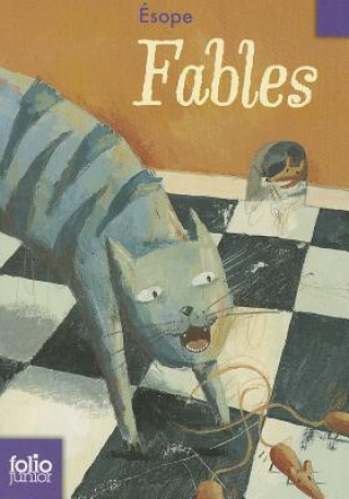 Książka FABLES Esope