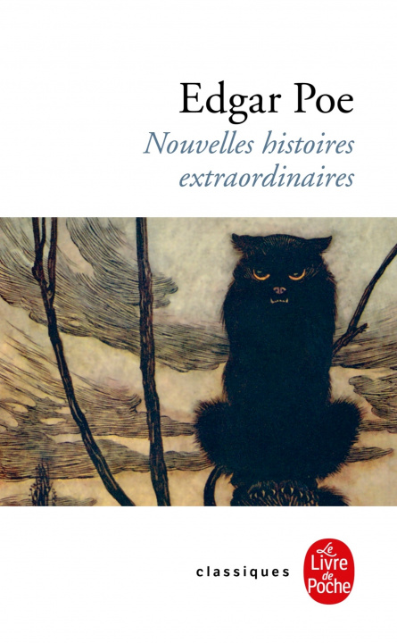 Kniha NOUVELLES HISTOIRES EXTRAORDINAIRES Edgar Allan Poe