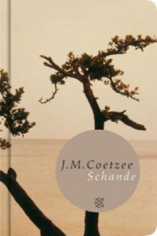 Könyv Schande J. M. Coetzee