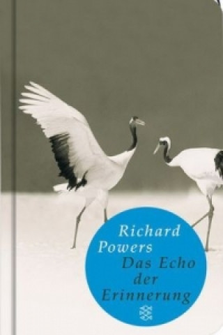 Könyv Das Echo der Erinnerung Richard Powers