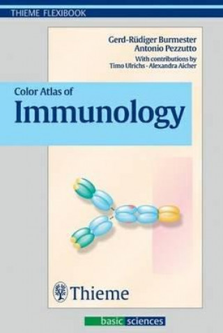 Kniha Color Atlas of Immunology Antonio Pezzuto
