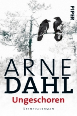 Buch Ungeschoren Arne Dahl