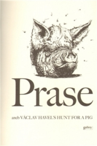 Kniha Prase Václav Havel