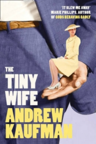 Buch Tiny Wife Andrew Kaufman