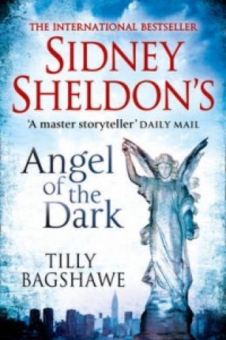 Könyv Sidney Sheldon's Angel of the Dark Sidney Sheldon