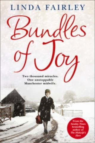 Kniha Bundles of Joy Linda Fairley