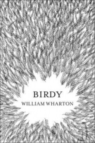 Book Birdy William Wharton