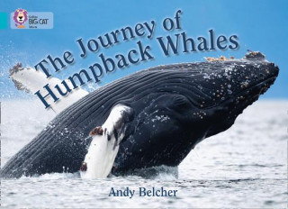 Buch Journey of Humpback Whales 