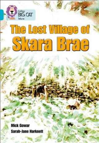 Kniha Skara Brae Mick (Anglia Ruskin University Gowar