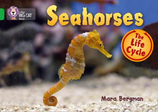 Könyv Seahorses 