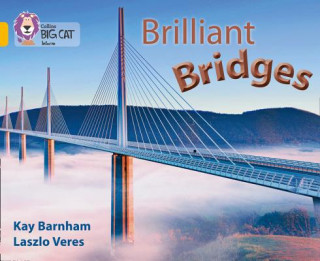 Carte Brilliant Bridges 