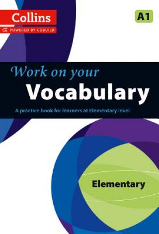 Kniha Vocabulary 