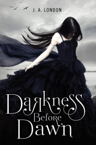 Könyv Darkness Before Dawn J A London