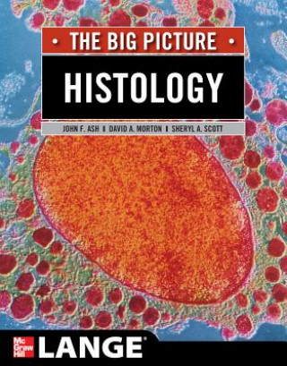 Könyv Histology: The Big Picture John Ash