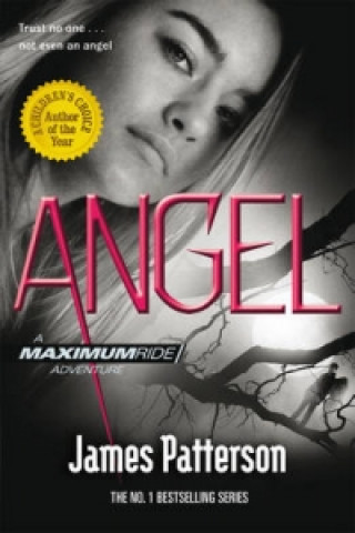 Книга Angel: A Maximum Ride Novel James Patterson