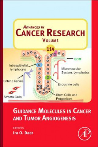 Könyv Guidance Molecules in Cancer and Tumor Angiogenesis Ira Daar