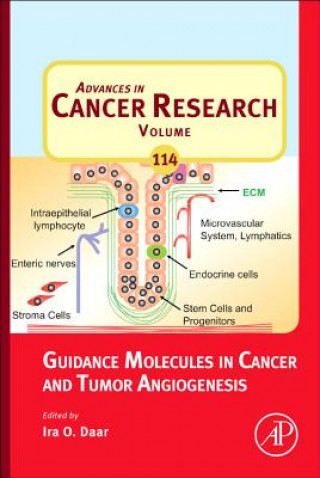 Book Guidance Molecules in Cancer and Tumor Angiogenesis Ira Daar