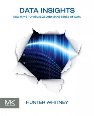 Kniha Data Insights Hunter Whitney