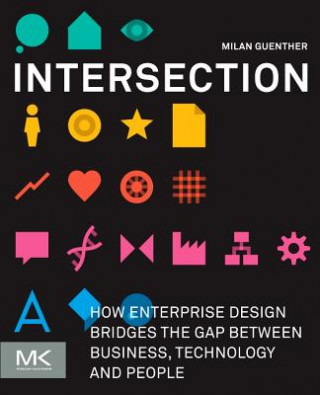 Knjiga Intersection Milan Guenther