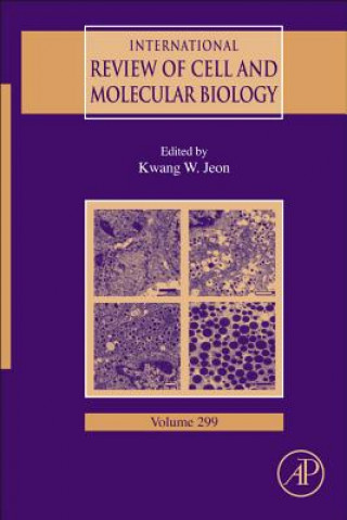 Könyv International Review of Cell and Molecular Biology Kwang Jeon